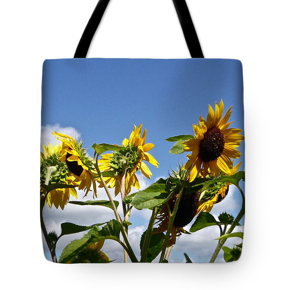 Sunflowers Tote Bag featuring the photograph Sunflowers in July by Ellen Paull