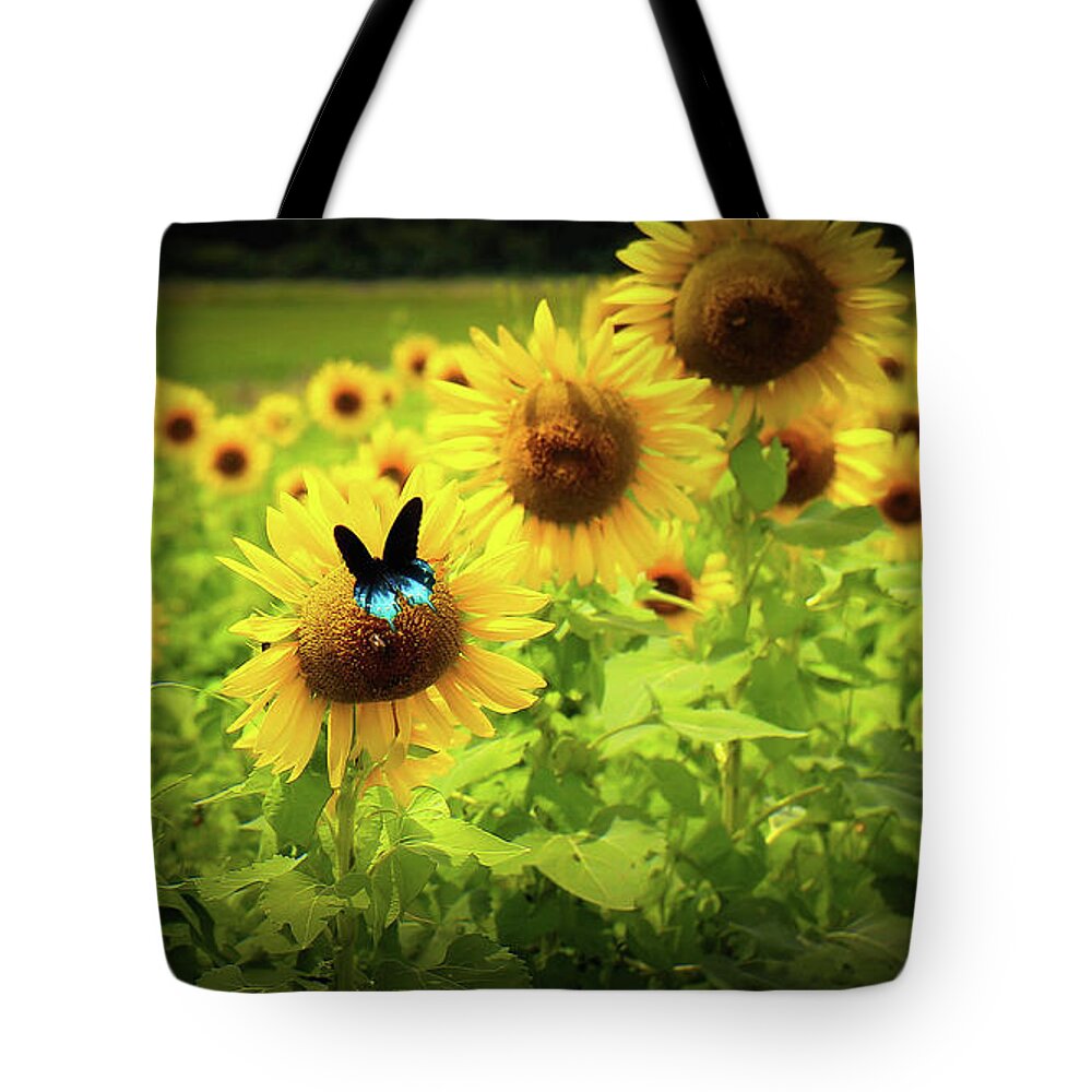 Sunflowers Tote Bag featuring the photograph Sunflowers in Memphis III by Veronica Batterson