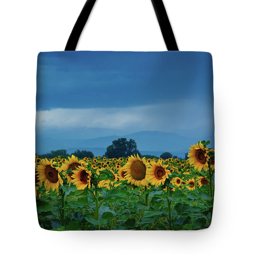 Colorado Tote Bag featuring the photograph Sunflowers Under A Stormy Sky by John De Bord