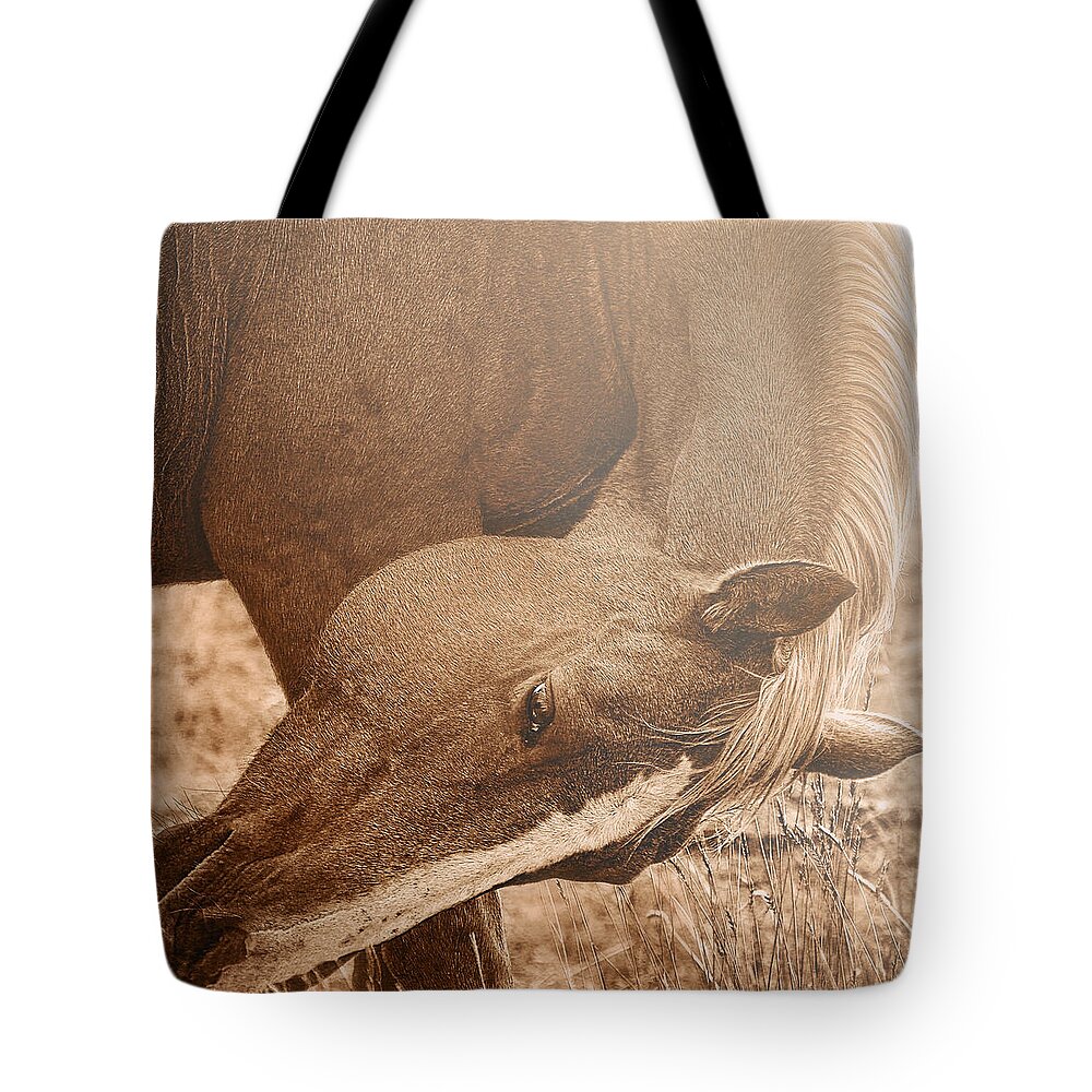 Graceful Tote Bag featuring the photograph Sunlight and Grace by Amanda Smith
