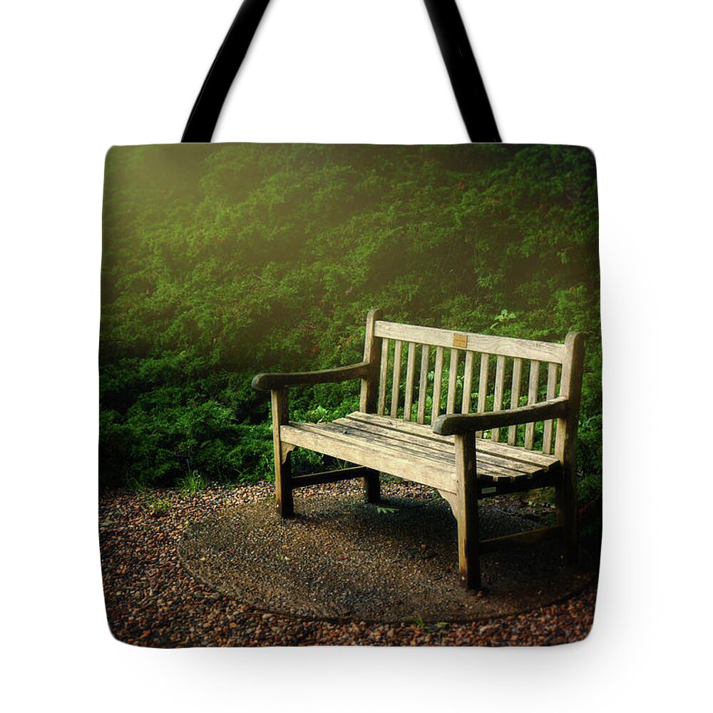 Art Tote Bag featuring the photograph Sunlight on Park Bench by Tom Mc Nemar