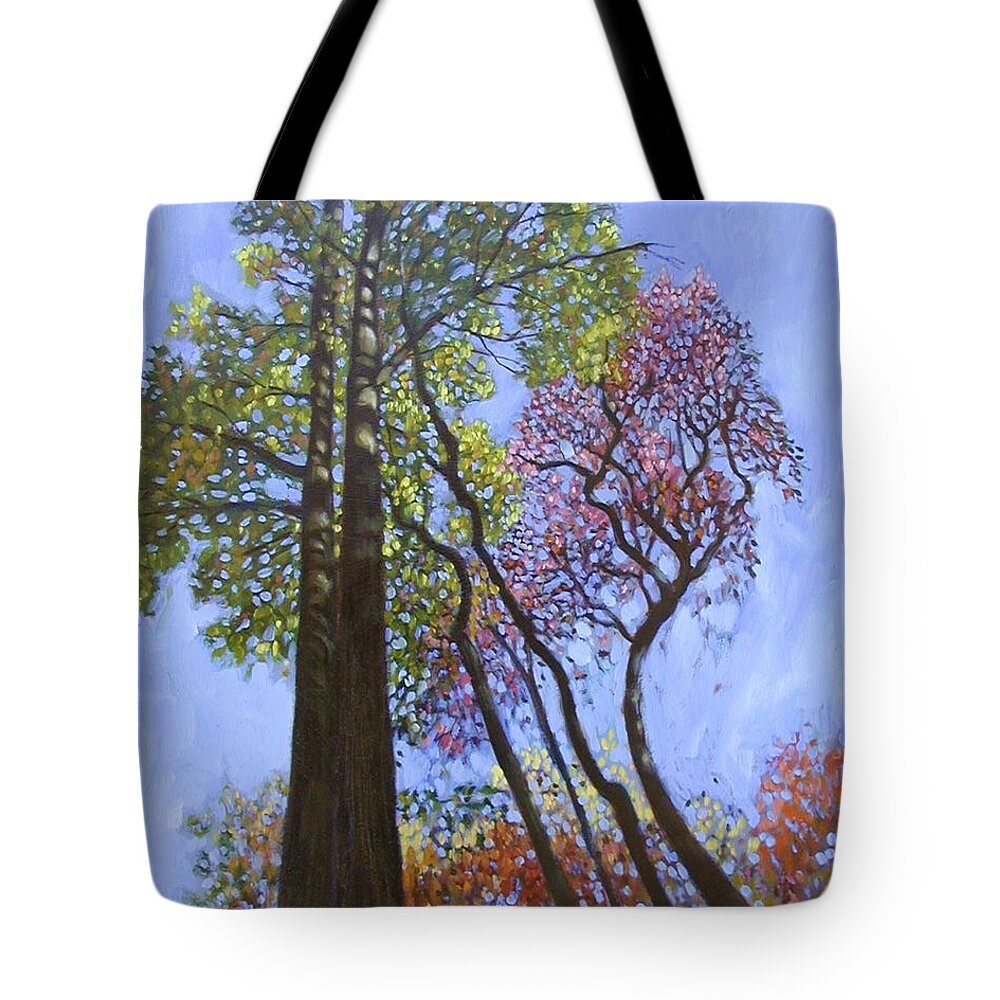 Fall Trees Highlighted By The Sun Tote Bag featuring the painting Sunlight On Upper Branches by John Lautermilch