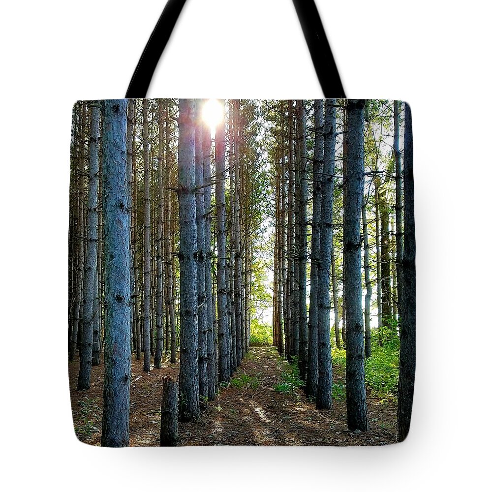 Sunlight Tote Bag featuring the photograph Sunlight Through the Forest Trees by Vic Ritchey