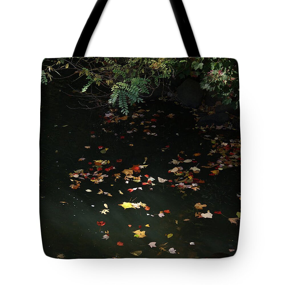 Autumn Tote Bag featuring the photograph Sunlit Autumn leaves on the Mill River by Margie Avellino