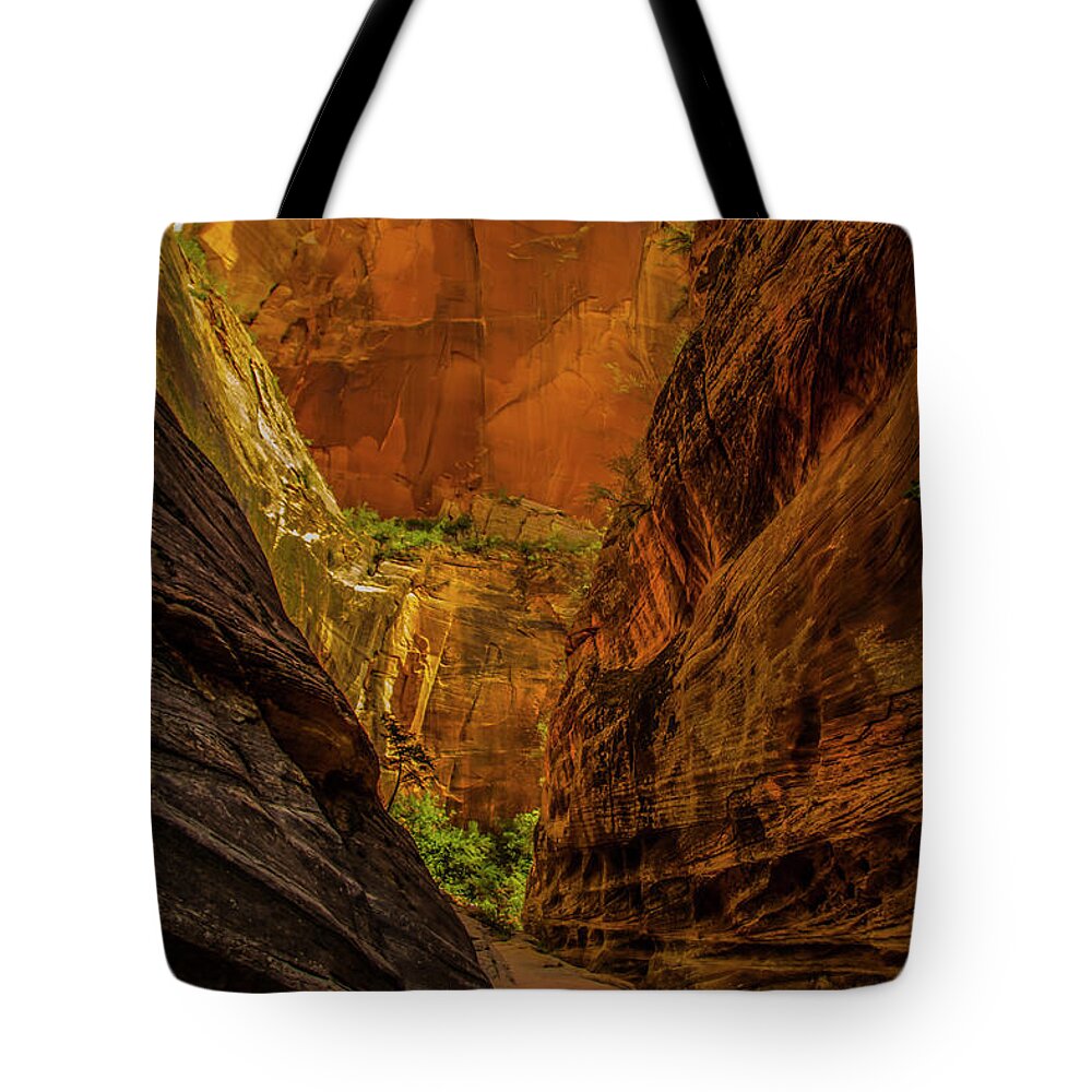 Beautiful Late Afternoon Sunlit Colors Light Up The Echo Canyon Slot Along The Observation Point Trail In Zion National Park. Tote Bag featuring the photograph Sunlit Colors in the Slot by Doug Scrima