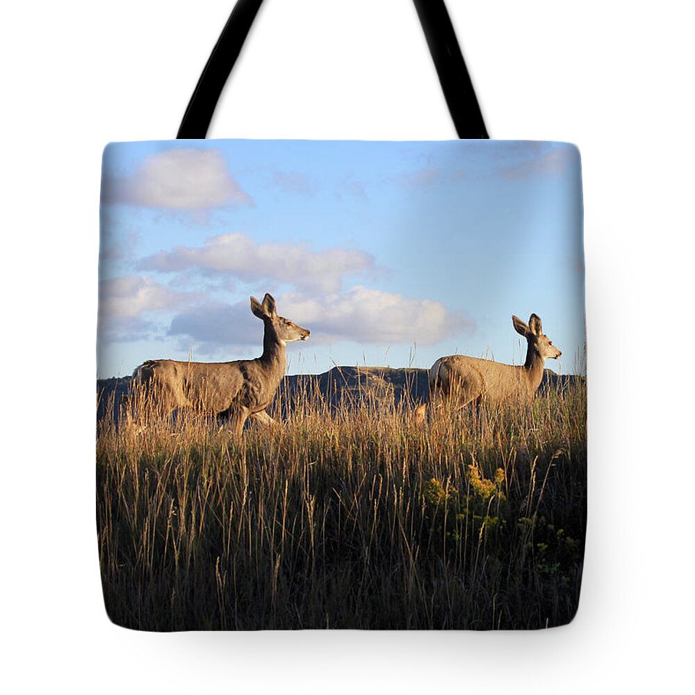 Mule Deer Tote Bag featuring the photograph Sunlit Deer by Paula Guttilla