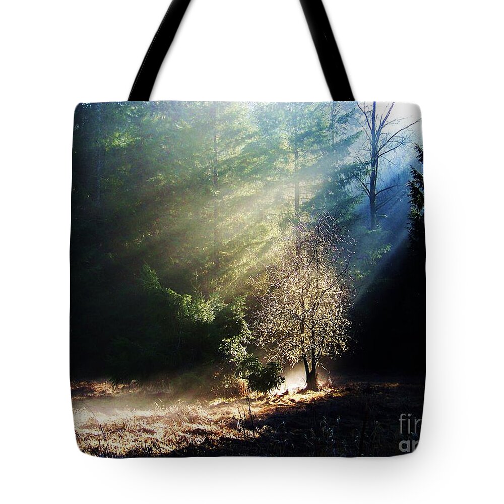 Wild Meadow Tote Bag featuring the photograph Sunlit by Julie Rauscher