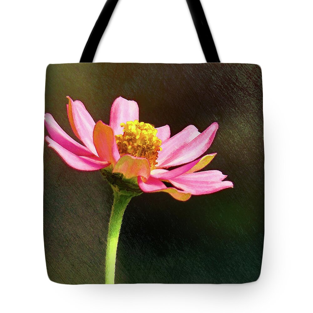 Zinnia Tote Bag featuring the photograph Sunlit Uplifting Beauty by Sue Melvin