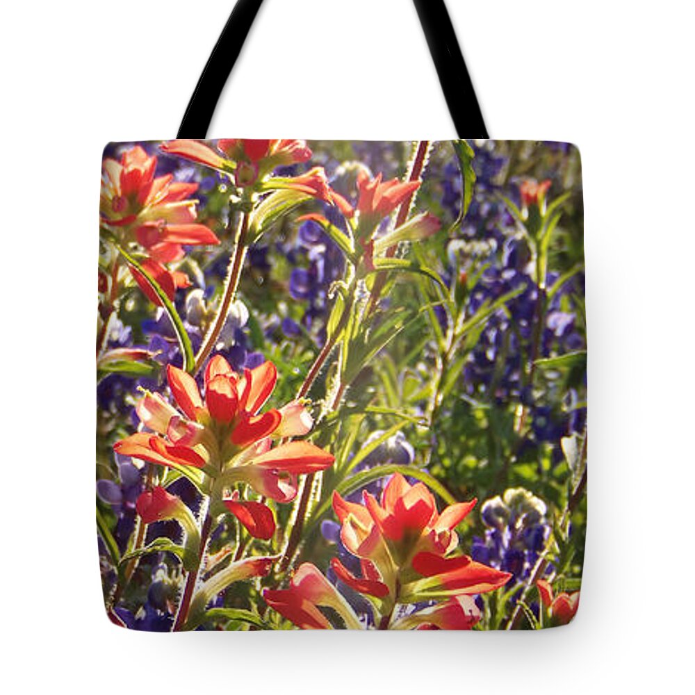 Texas Wildflowers Texas Home Dcor Tote Bag featuring the painting Sunlit Wild Flowers by Karen Kennedy Chatham
