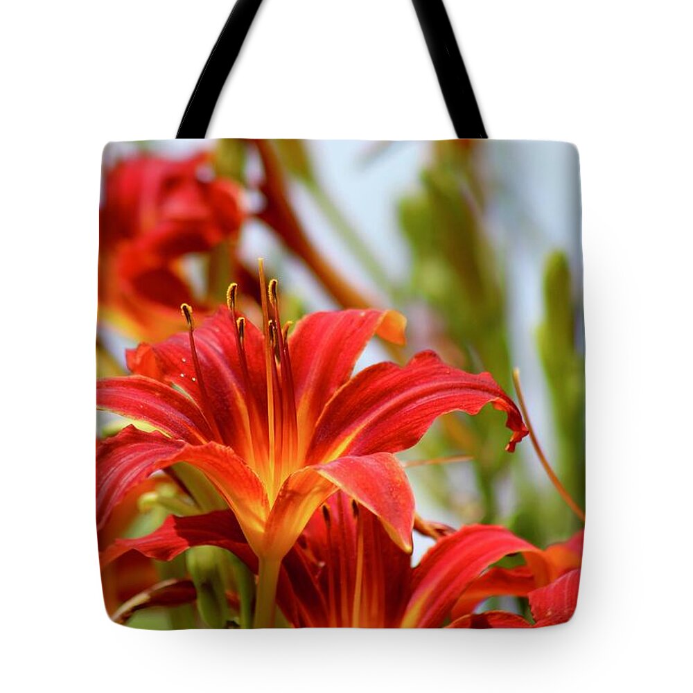Photograph Tote Bag featuring the photograph Sunning Red Day Lilies by M E