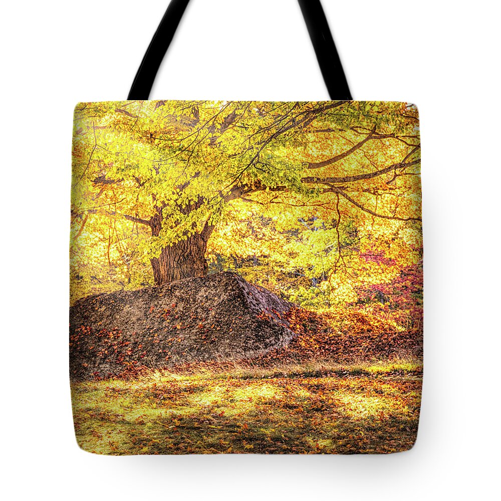 Salem Massachusetts Tote Bag featuring the photograph Sunny Afternoon on Autumn Hill by Jeff Folger