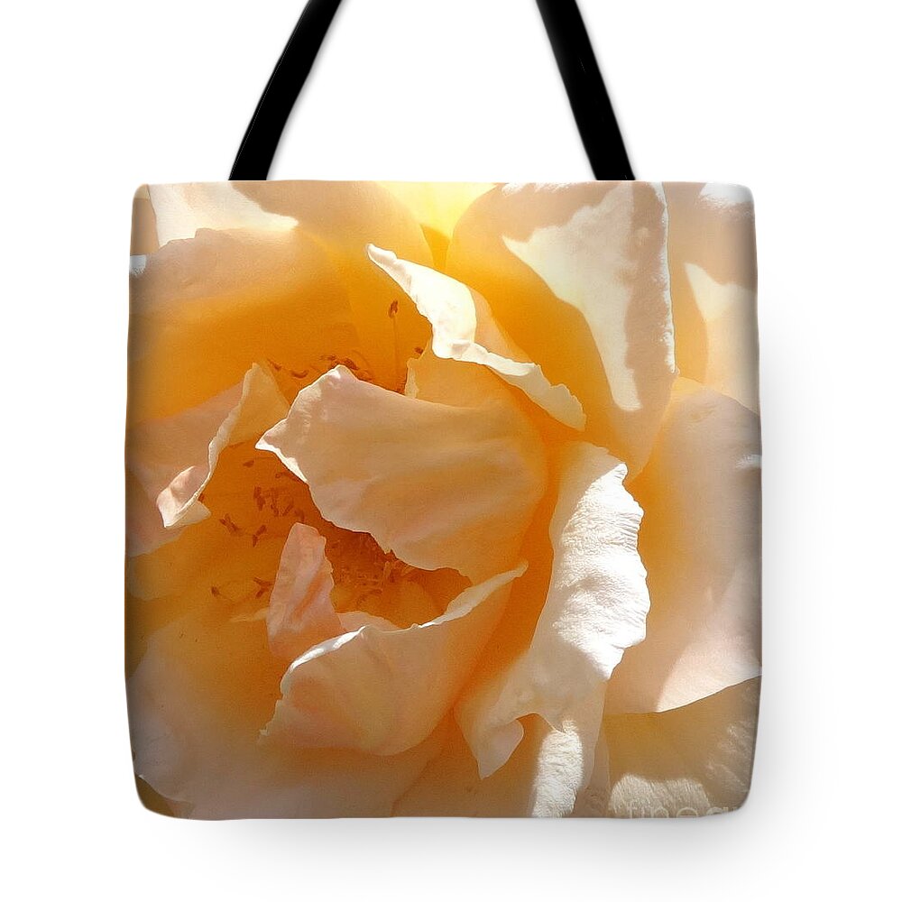 Rose Tote Bag featuring the photograph Sunny Delight by Fred Wilson