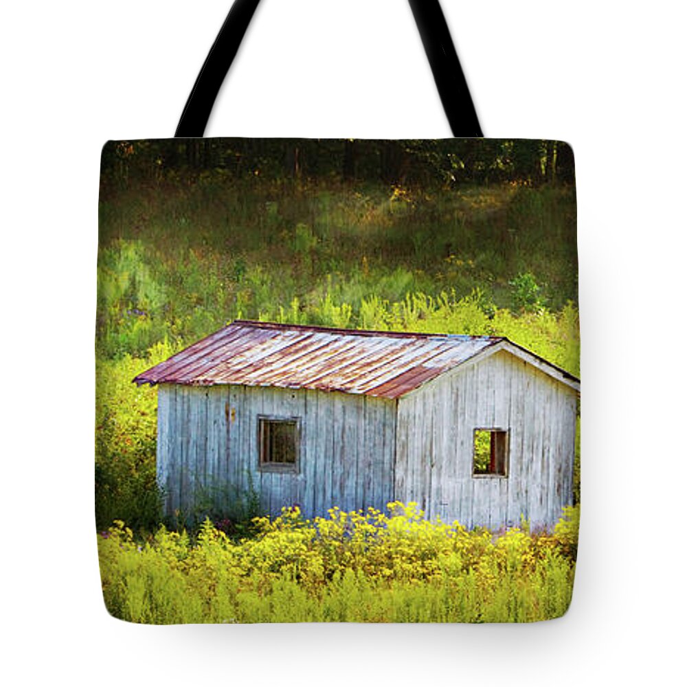 Rowan County Kentucky Tote Bag featuring the photograph Sunny Delight by Randall Evans