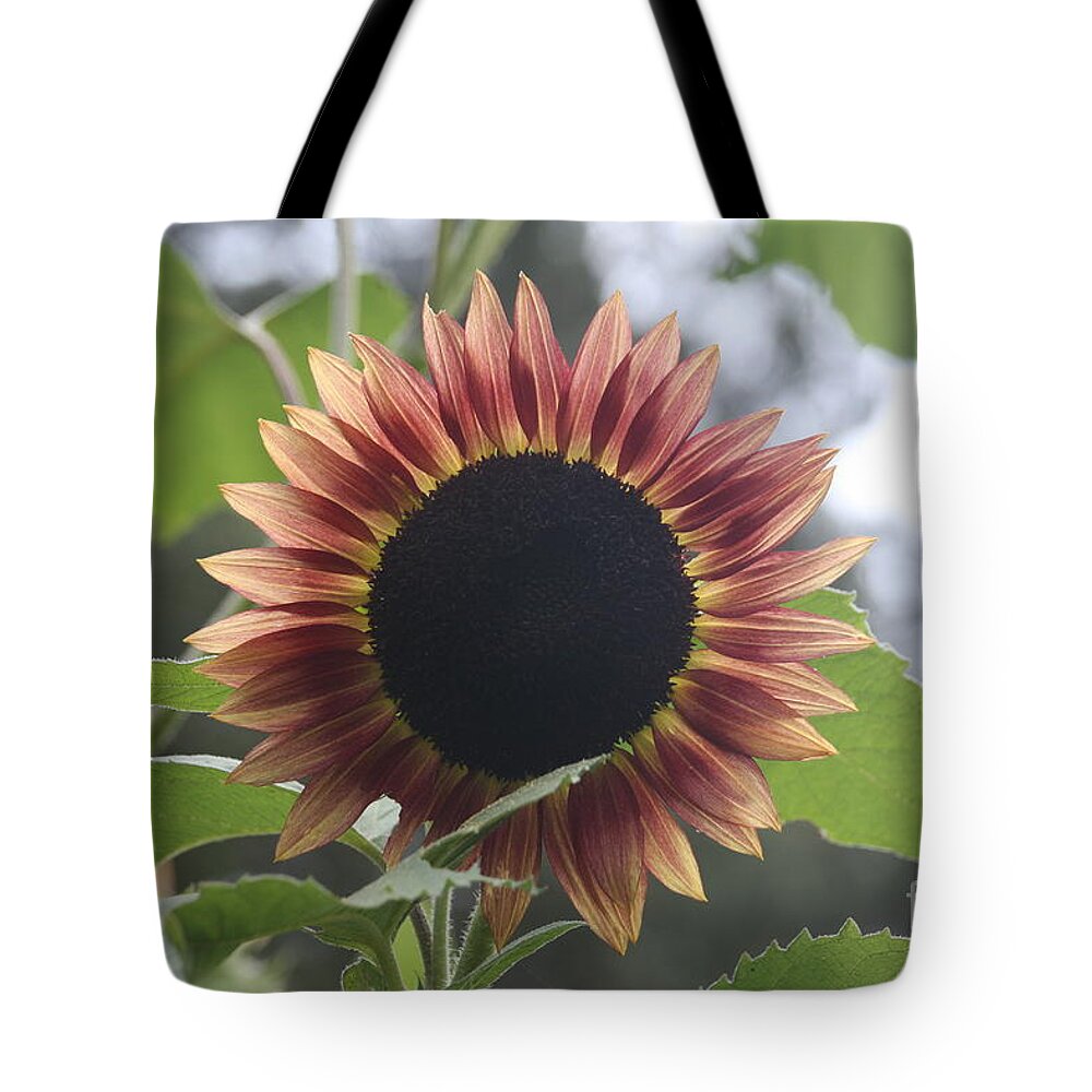 Sunflower Tote Bag featuring the photograph Sunny Face by Wendy Coulson