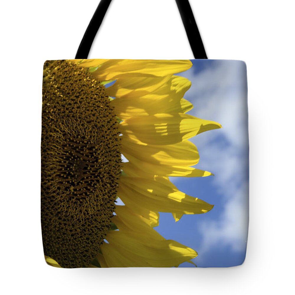 (calm Or Still) Tote Bag featuring the photograph Sunny Faces and Blue Skies by Debra Fedchin