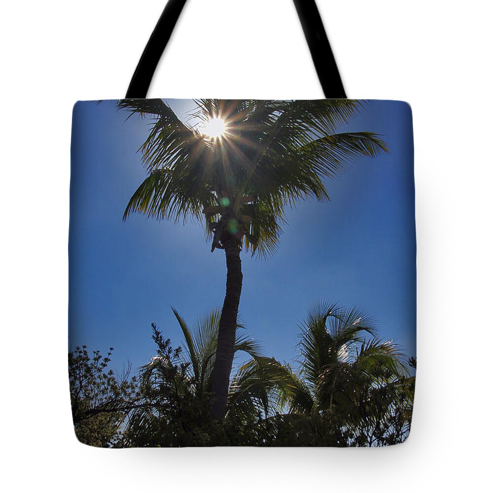 Nature Tote Bag featuring the photograph Sunny Palm by Bob Slitzan