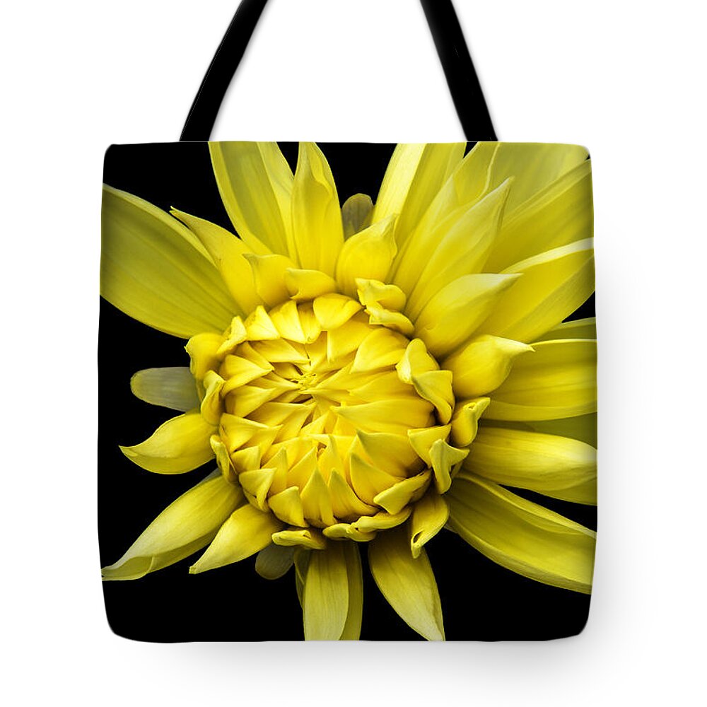 Yellow Flower Tote Bag featuring the photograph Sunny Prince by Marina Kojukhova