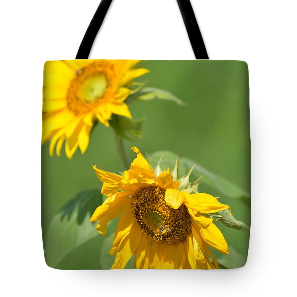 Florals Tote Bag featuring the photograph Sunny Side Up 1 by Teresa Tilley