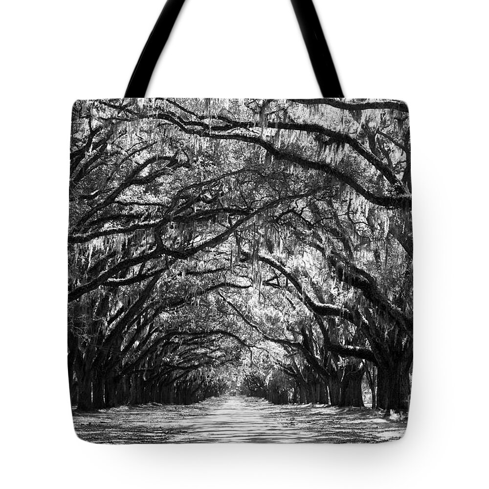 Live Oaks Tote Bag featuring the photograph Sunny Southern Day - Black and White by Carol Groenen