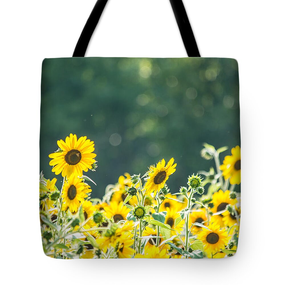 Cheryl Baxter Tote Bag featuring the photograph Sunny Sunflowers by Cheryl Baxter