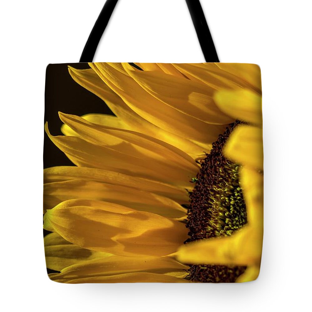 Sunflower Tote Bag featuring the photograph Sunny Too by Mike-Hope by Michael Hope