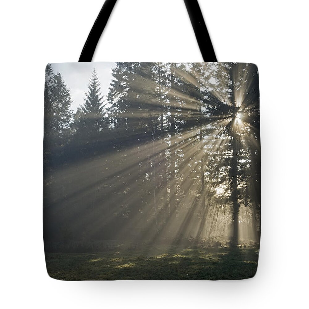 Sun Tote Bag featuring the photograph Sunrays by Inge Riis McDonald