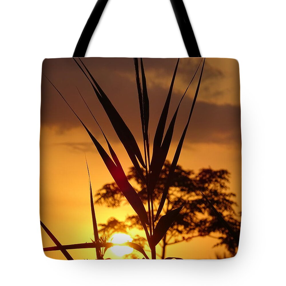 Sunrise Tote Bag featuring the photograph Sunrise #2 by Maximilian Weber