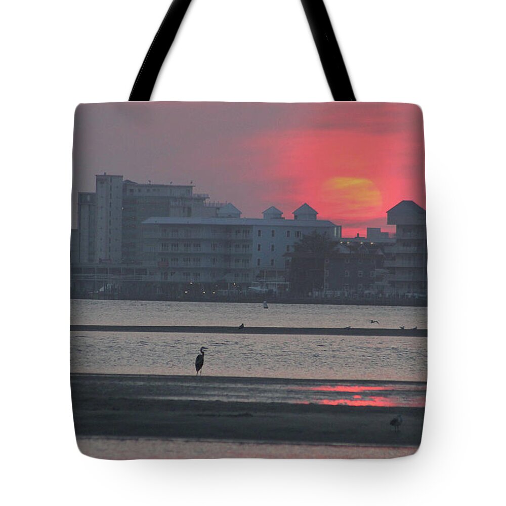 Sun Tote Bag featuring the photograph Sunrise and Skyline by Robert Banach
