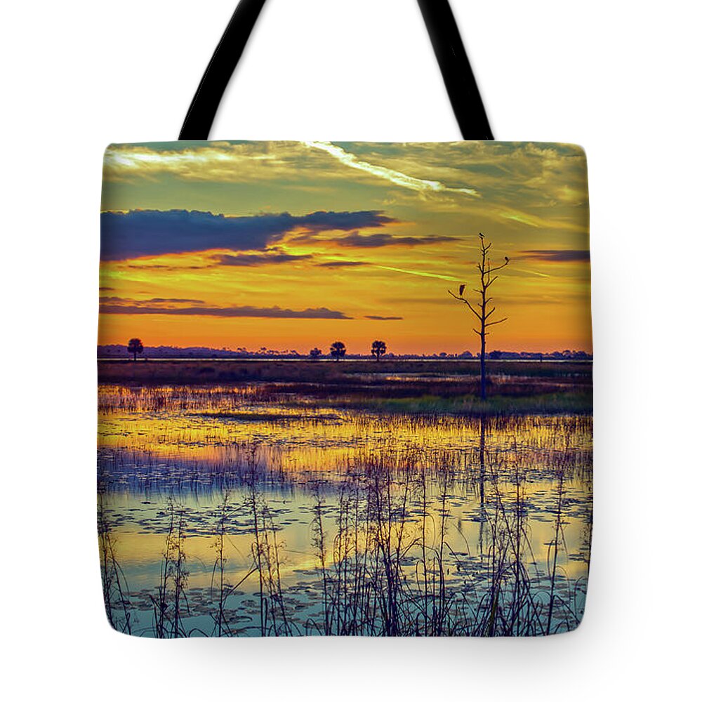 Bird Tote Bag featuring the photograph Sunrise at a Wildlife Paradise by DB Hayes