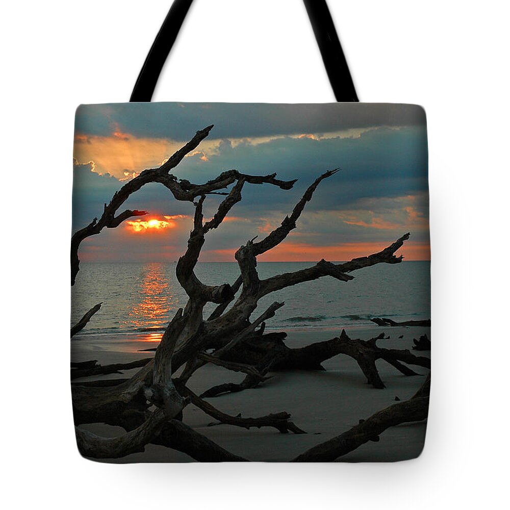 Driftwood Beach Tote Bag featuring the photograph Sunrise at Driftwood Beach 2.2 by Bruce Gourley