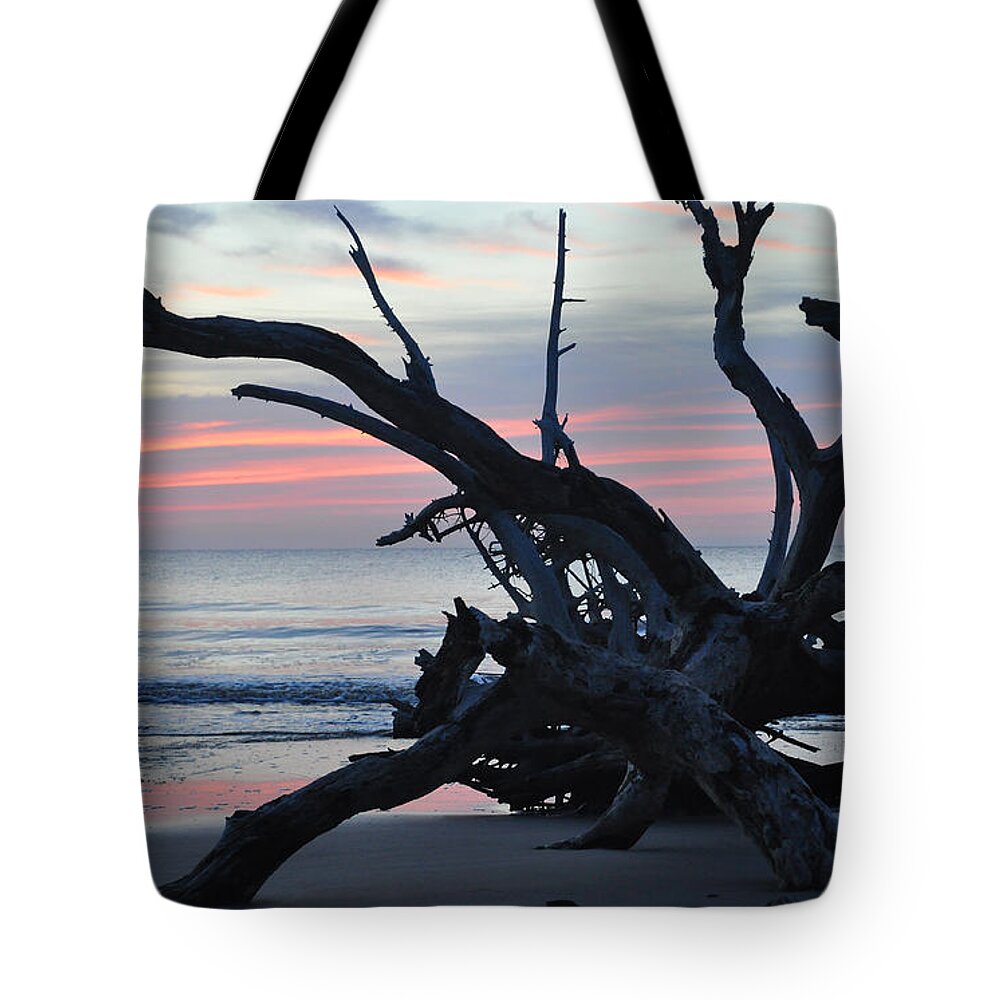 Driftwood Beach Tote Bag featuring the photograph Sunrise at Driftwood Beach 5.1 by Bruce Gourley