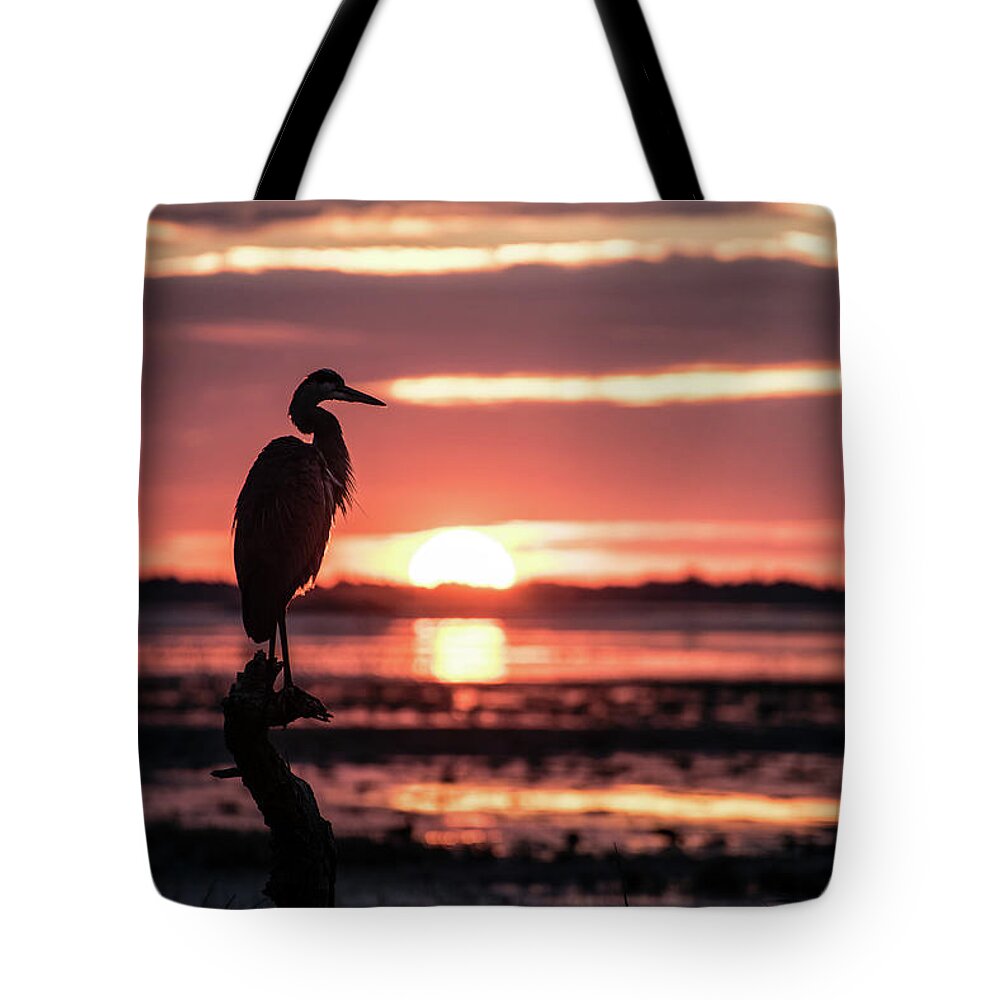 Sunrise Tote Bag featuring the photograph Sunrise at Prime Hook by Teresa Hughes
