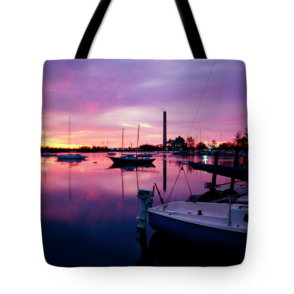 Sunrise Tote Bag featuring the photograph Sunrise BC Cobb Plant by Frederic A Reinecke