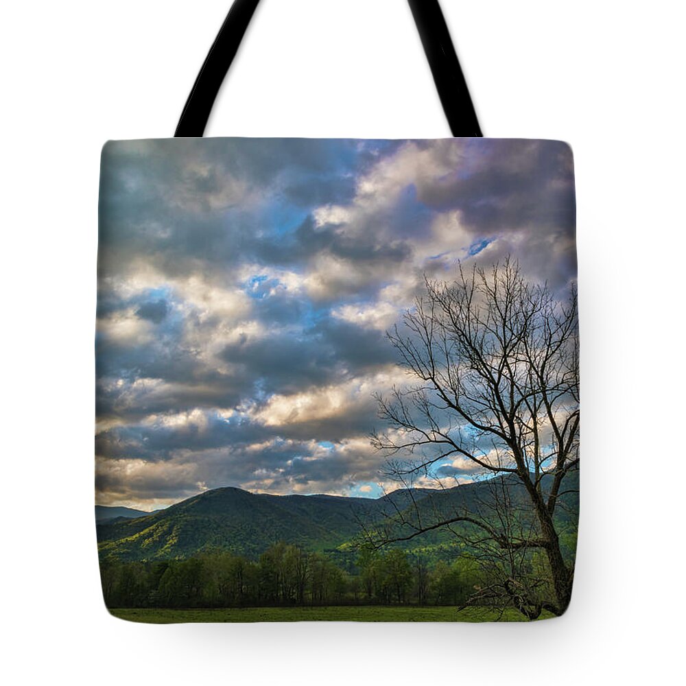 Landscapes Tote Bag featuring the photograph Sunrise Cades Cove by Roberta Kayne
