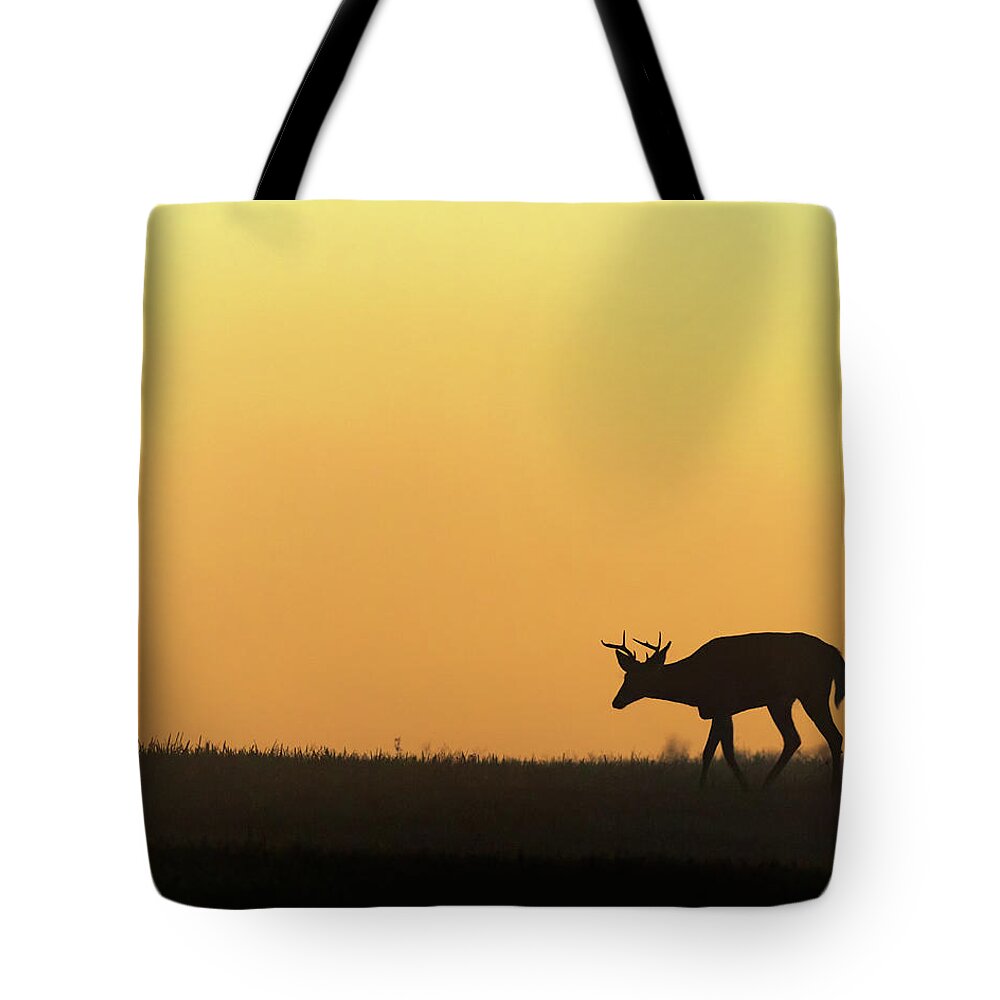 Silhouette Tote Bag featuring the photograph Sunrise Deer by Bill Wakeley