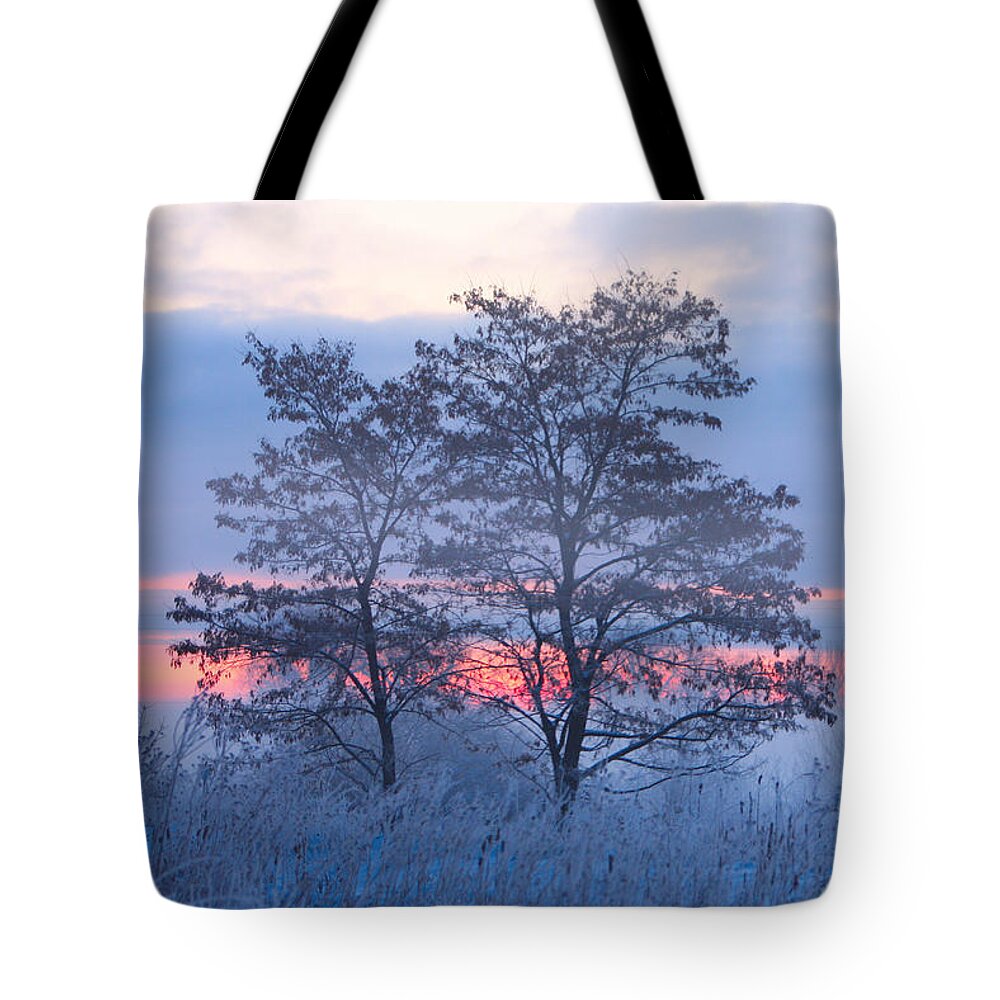 Fog Tote Bag featuring the photograph Sunrise Fog by James BO Insogna