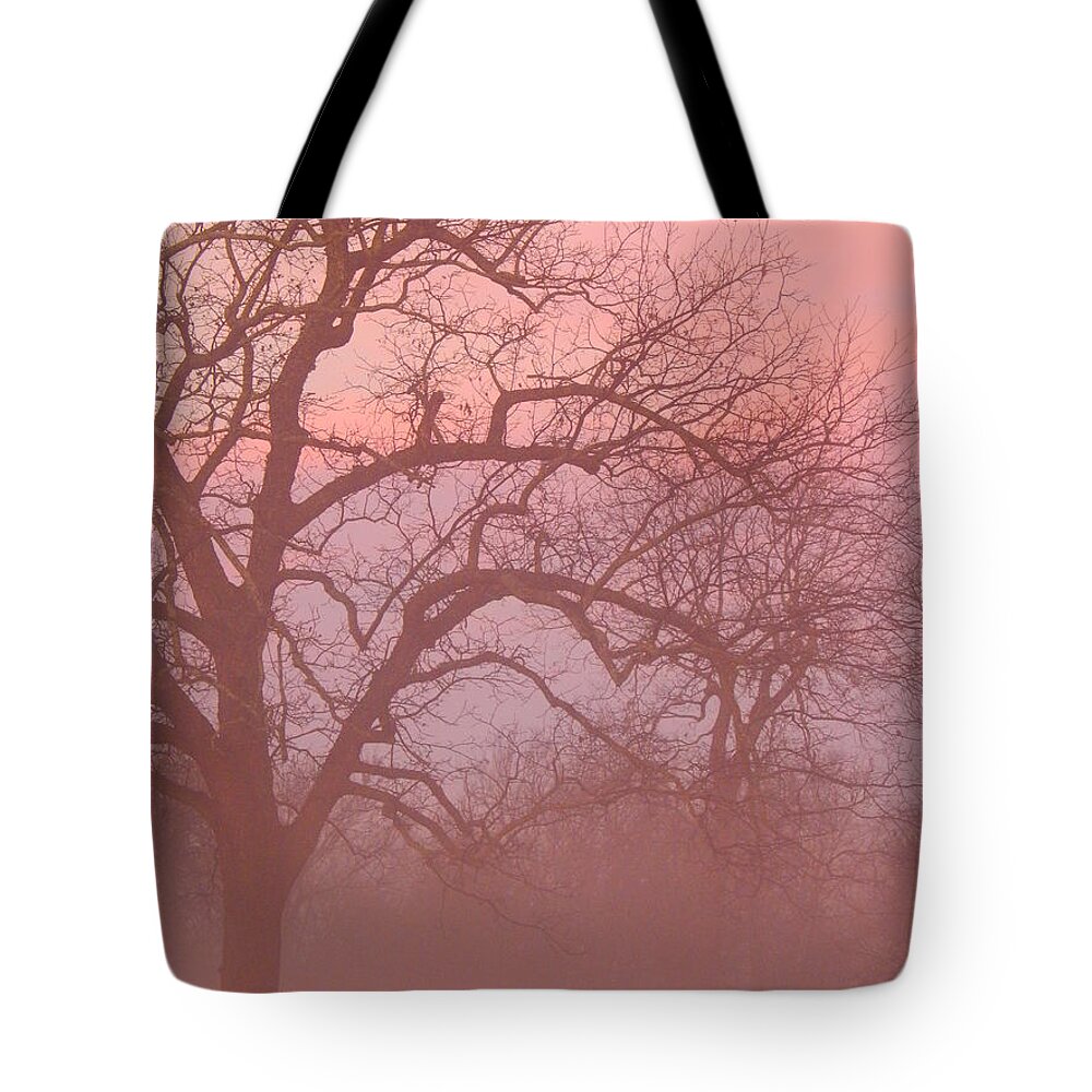 Morning Tote Bag featuring the photograph Sunrise Fog by Virginia White