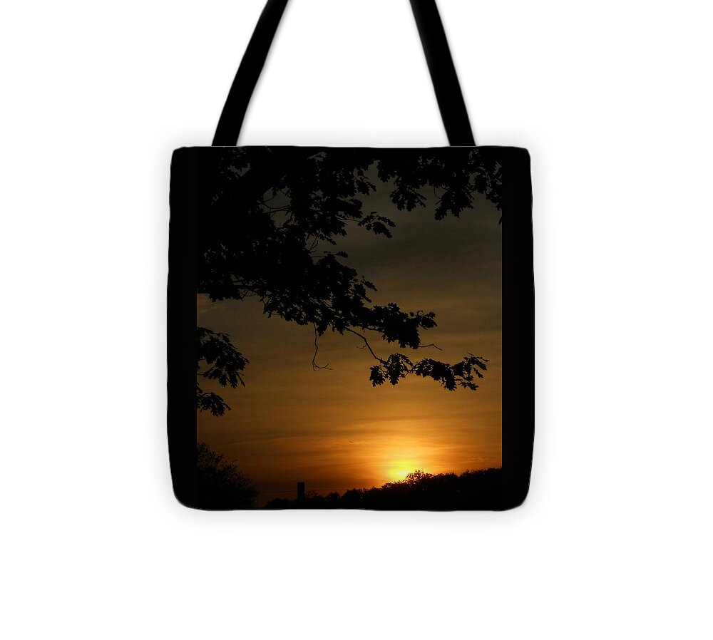 Sun Tote Bag featuring the photograph Sunrise Gold by Diannah Lynch