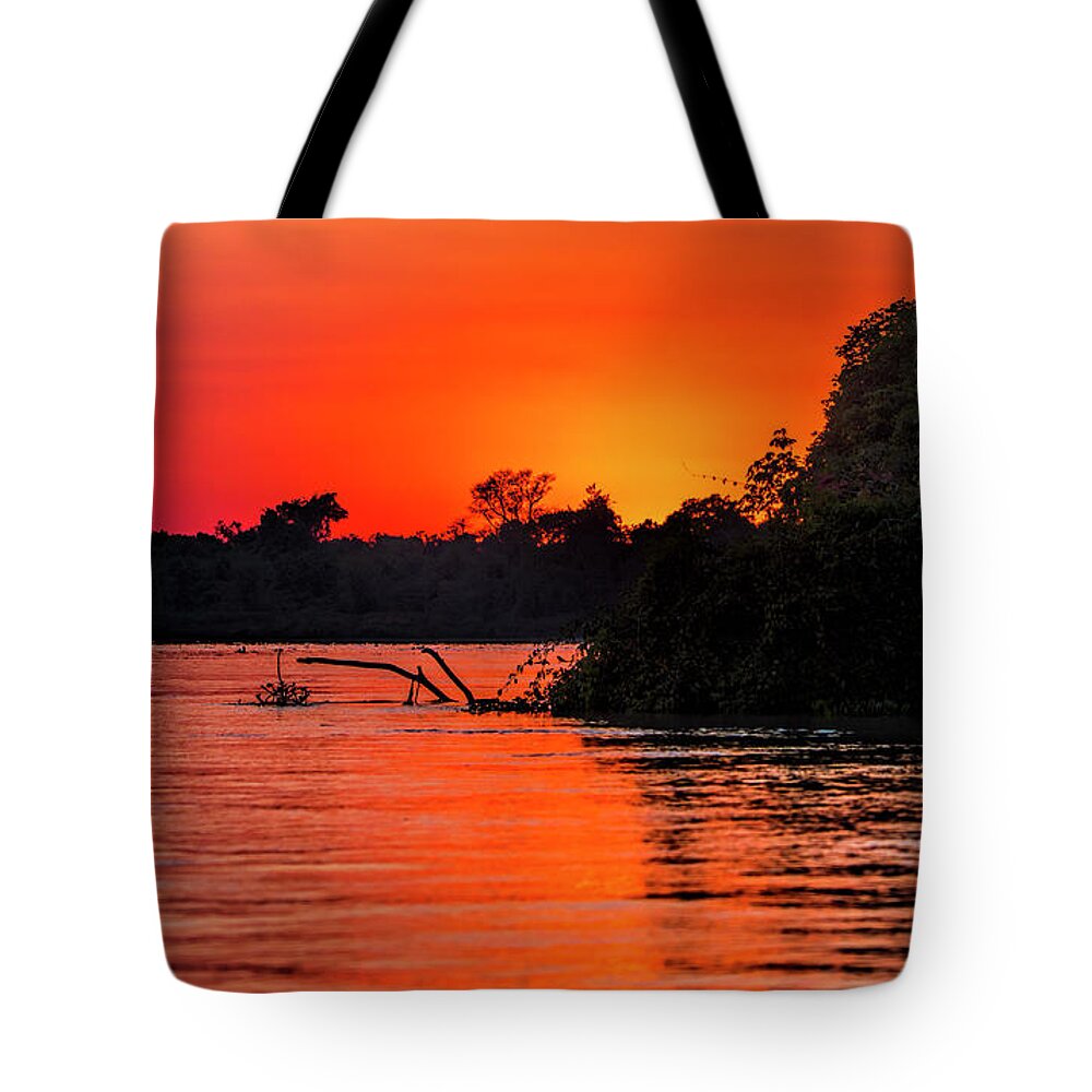 Sunrise Tote Bag featuring the photograph Sunrise in the Pantal by Pravine Chester