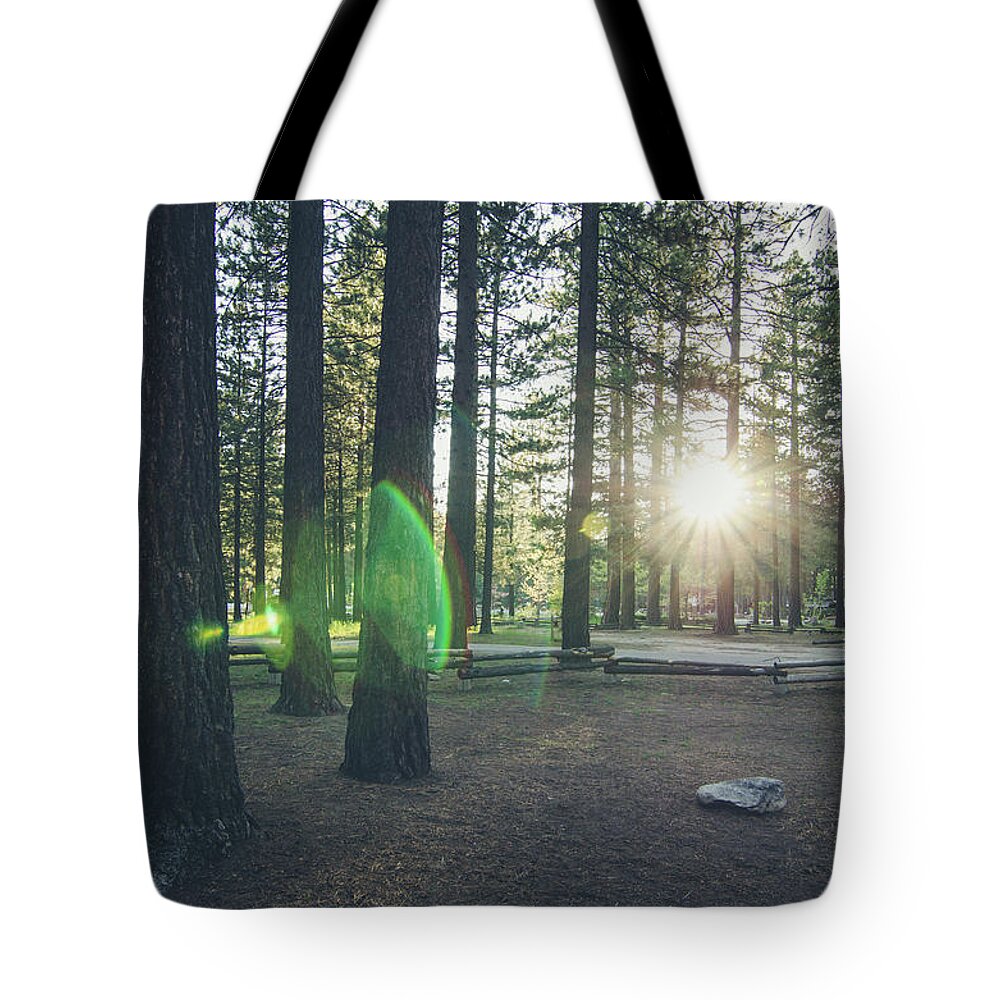 California Tote Bag featuring the photograph Sunrise in the Woods by Margaret Pitcher