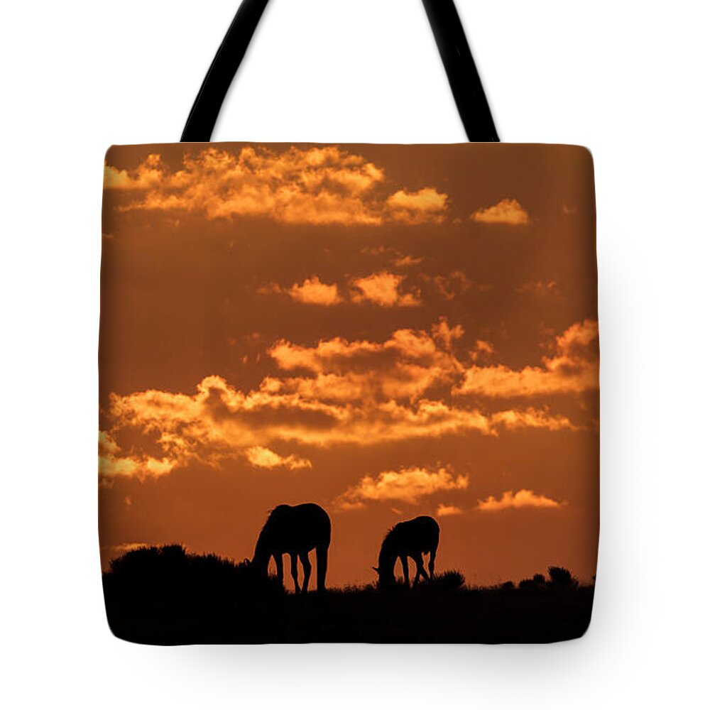  Tote Bag featuring the photograph Sunrise on the range by John T Humphrey