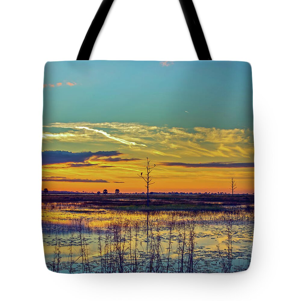 Bird Tote Bag featuring the photograph Sunrise Over a Saint Marks National Wildlife Refuge Lagoon by DB Hayes