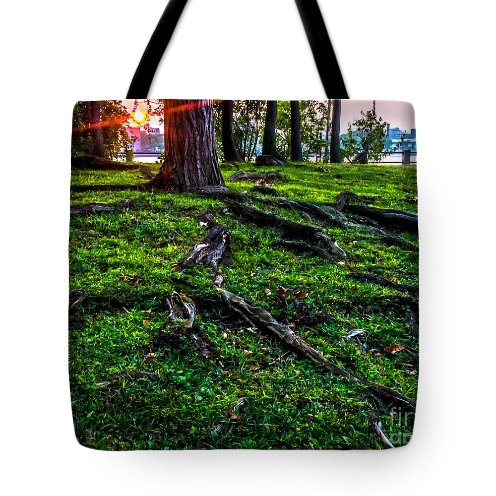Sunrise Tote Bag featuring the photograph Sunrise Over Queens by James Aiken