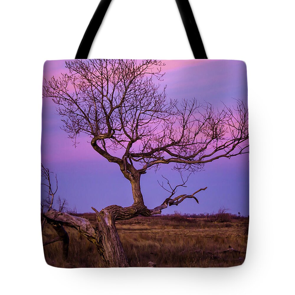 Nature Tote Bag featuring the photograph Sunrise Over Quirvira 3 by Steve Marler
