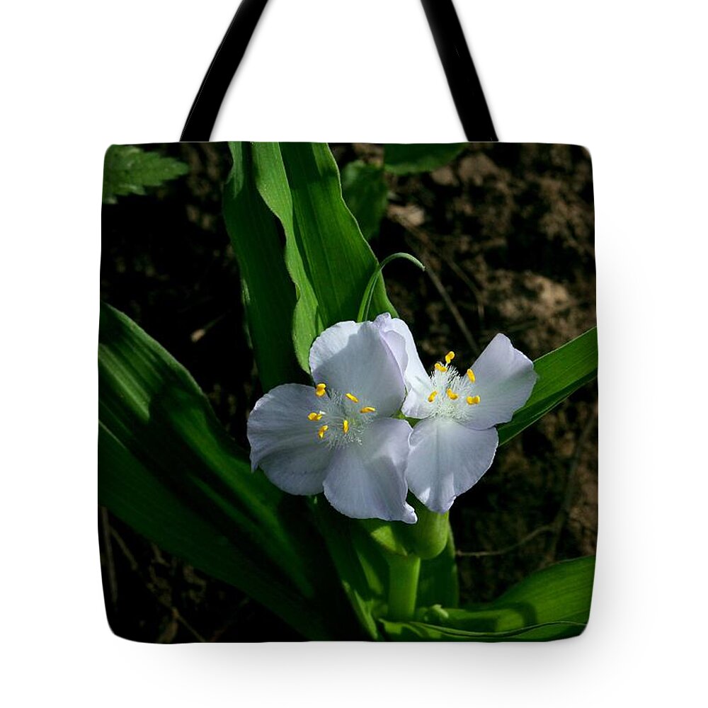 Spiderwort Tote Bag featuring the photograph Sunrise Spiderwort at Broadwater Falls by Michael Dougherty