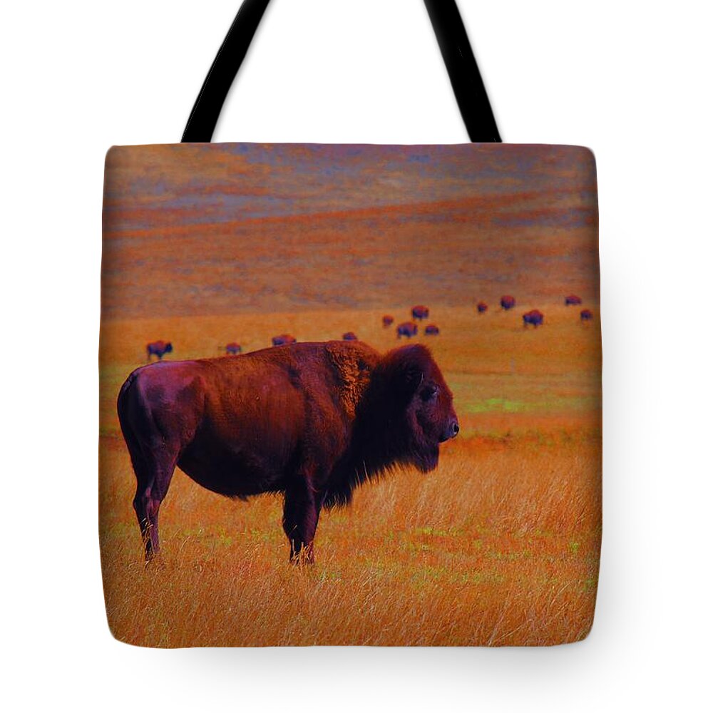 Buffalo Tote Bag featuring the photograph Sunrise Watch by Amanda Smith