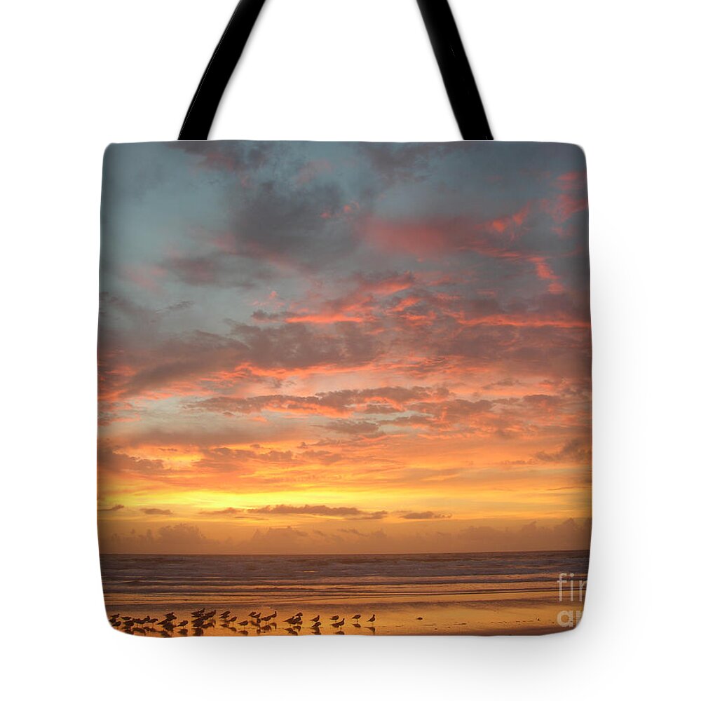 Beach Prints Tote Bag featuring the photograph Sunrise with birds 3 5-26-15 by Julianne Felton