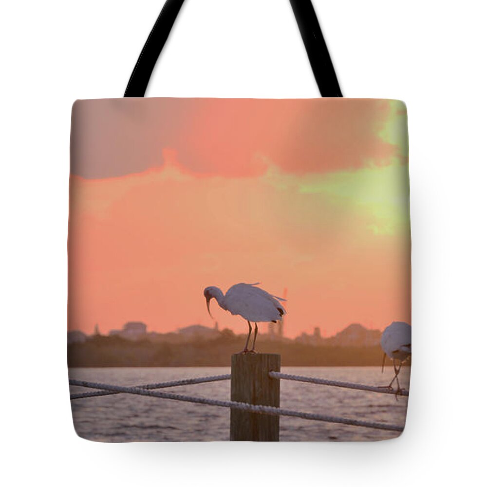 Ibis Tote Bag featuring the photograph Sunrise with Ibis 10-26-16 by Julianne Felton