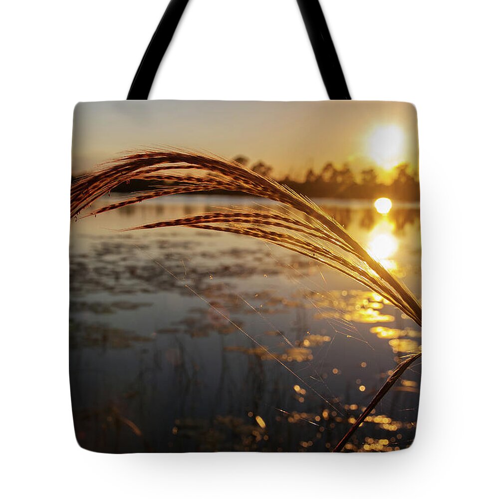 Sunset Tote Bag featuring the photograph Sunset at Gator Hole 2 by Arthur Dodd