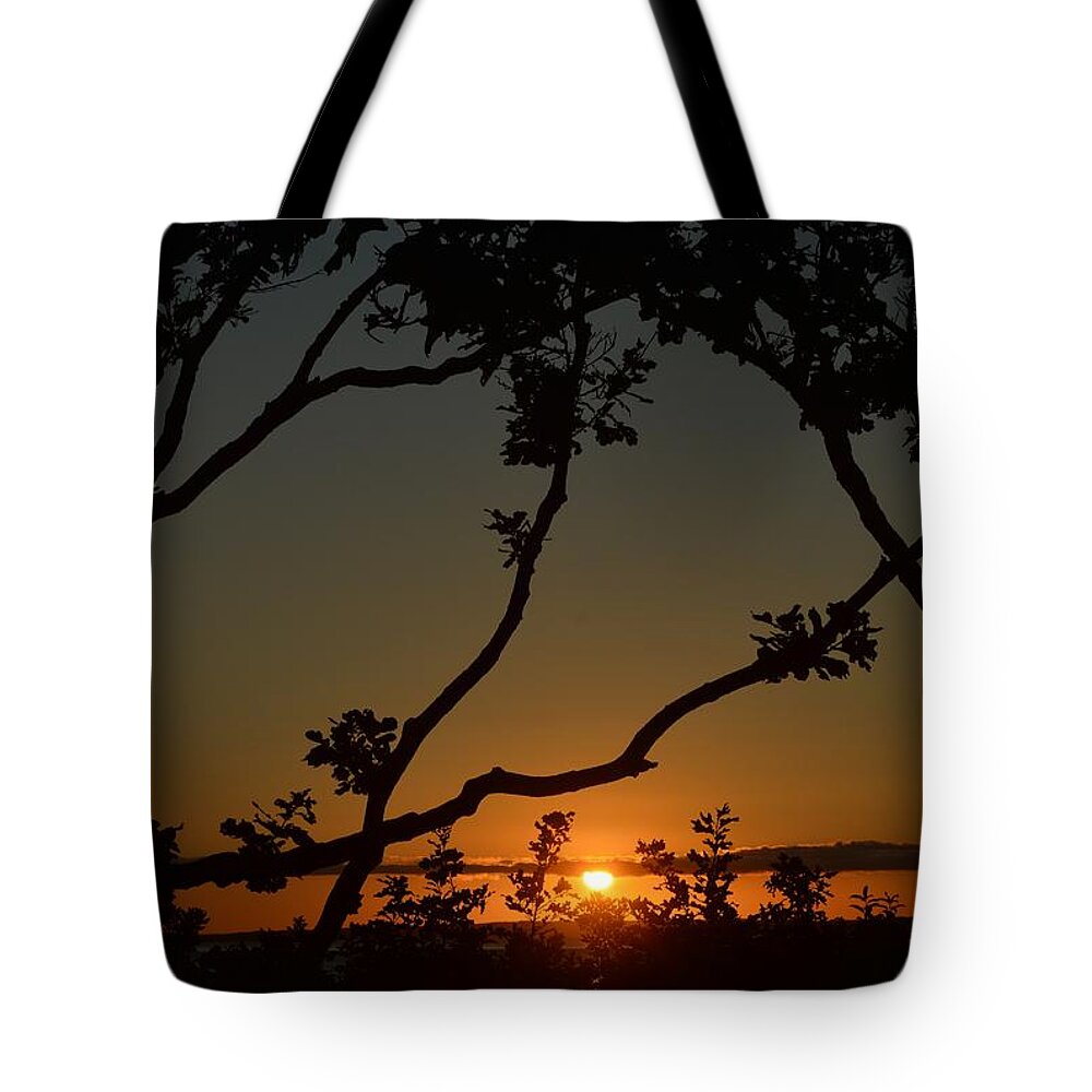 Silhouette Tote Bag featuring the photograph Sunset at Martha's Vineyard by Sonali Gangane